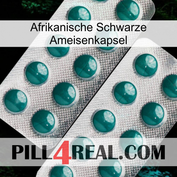 Africa Black Ant Capsule dapoxetine2